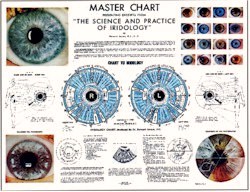minimasterwallchart.jpg